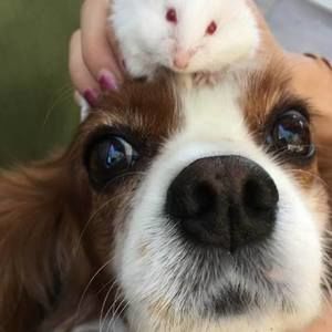 Meet your Posher, Patricia